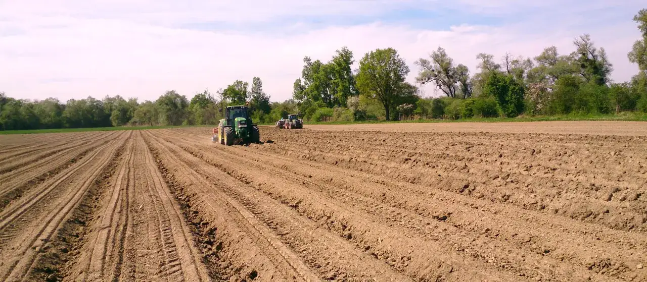 Traktoren bereiten ein spargel feld vor. Die Erde ist aufgew&uuml;hlt und in Reihen angelegt.
