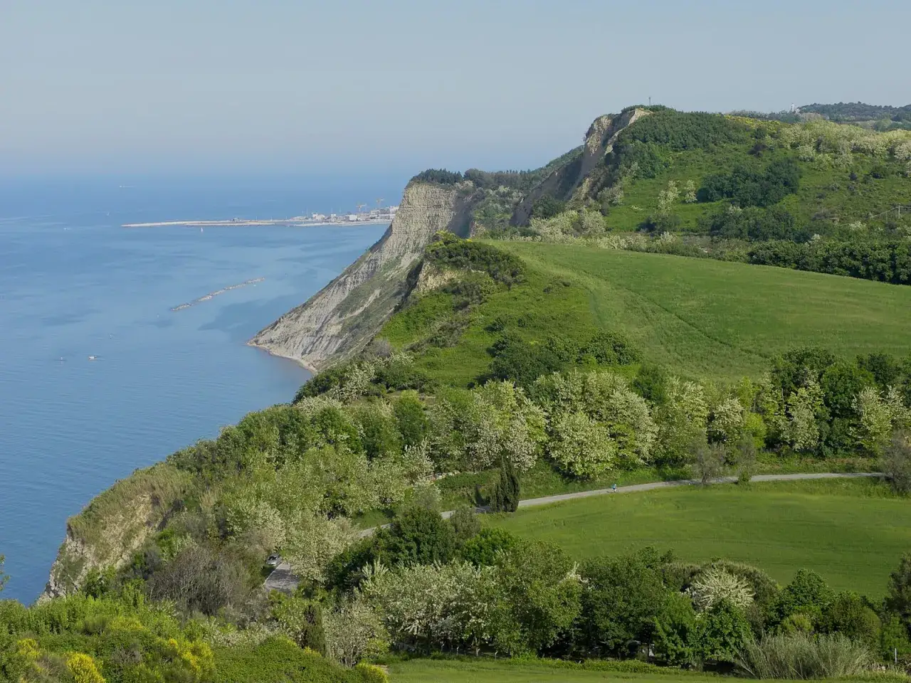 Vista mozzafiato sul mare Adriatico e le colline verdi, un vero