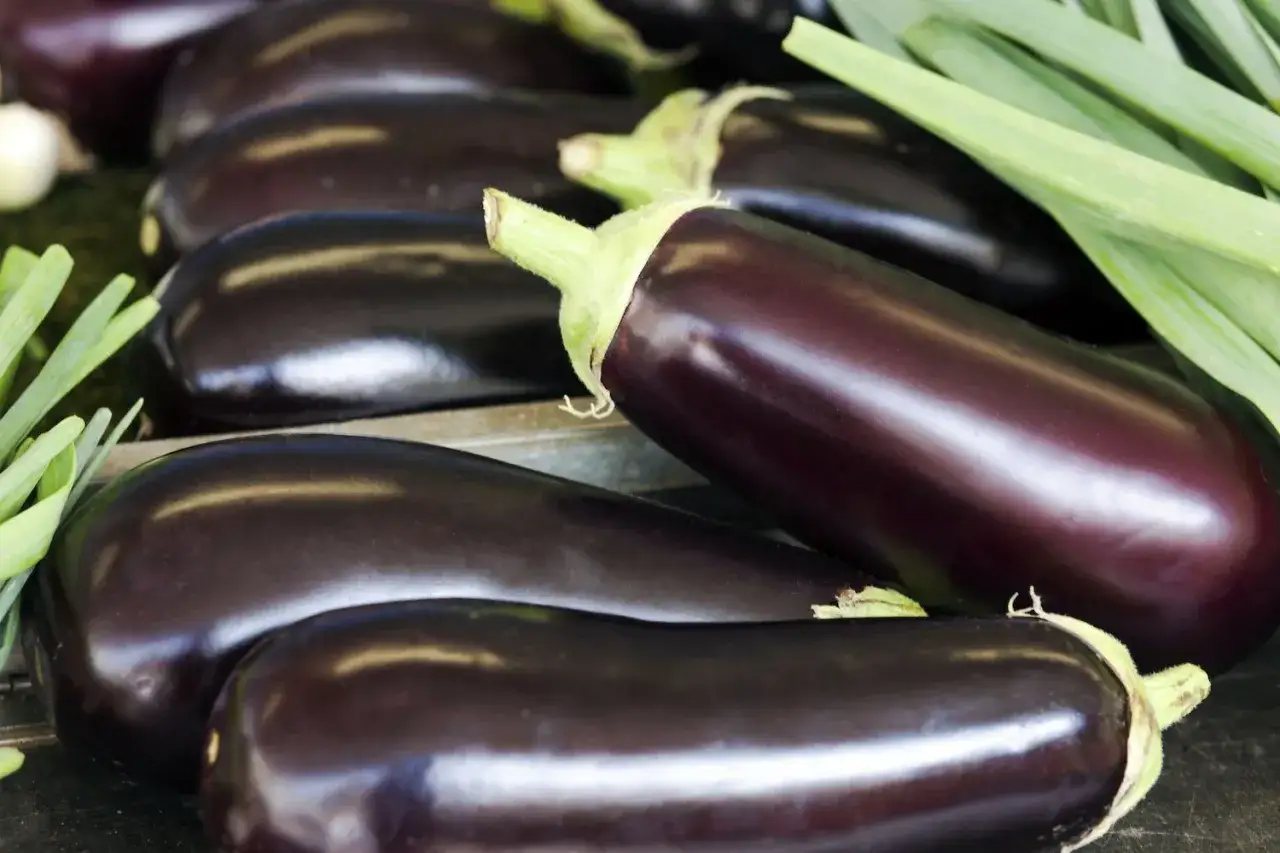 Aubergines brillantes, prêtes à être cuisinées. Une recette sans histamine, pleine de saveurs.