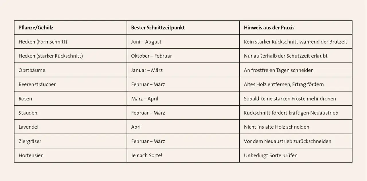 Tabelle zeigt, wann man welche Pflanzen schneidet. Für Hecken (starker Rückschnitt) ist Oktober bis Februar die beste Zeit, also hecken schneiden im winter.