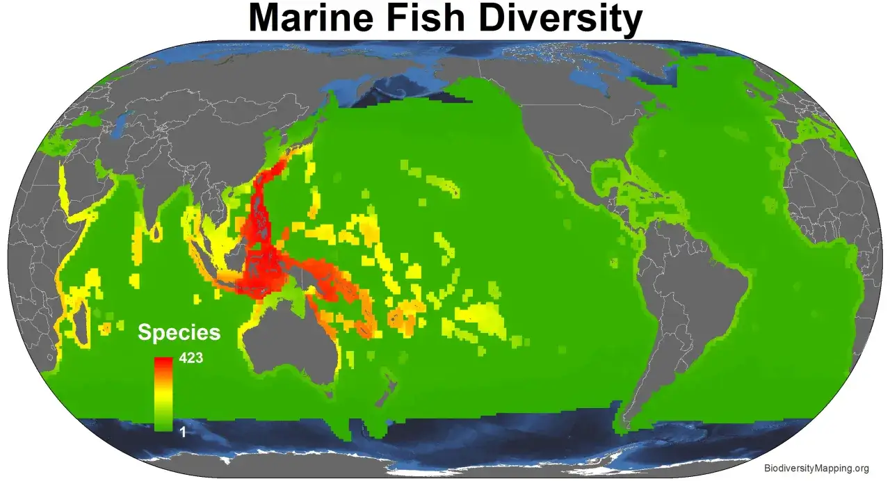 Karte zeigt die Vielfalt mariner Fischarten weltweit. Rote Gebiete, wie bei Indonesien, deuten auf die h&ouml;chste Artenzahl hin, w&auml;hrend gr&uuml;ne Gebiete weniger Artenvielfalt aufweisen.