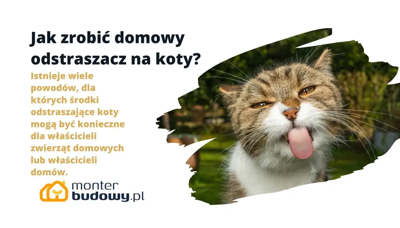 Domowy odstraszacz na koty? Ten kot z wywieszonym językiem sugeruje, że nawet ocet na koty może być nieskuteczny.