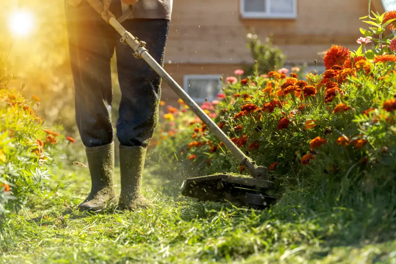 Soleil éclatant sur un jardinier fauchant l'herbe, une tâche essentielle pour l'obligation d'entretien jardin propriétaire.