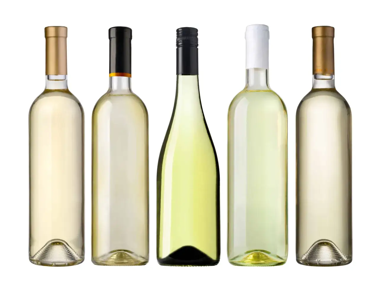 różne butelki białego wina sauvignon blanc chardonnay pinot grigio