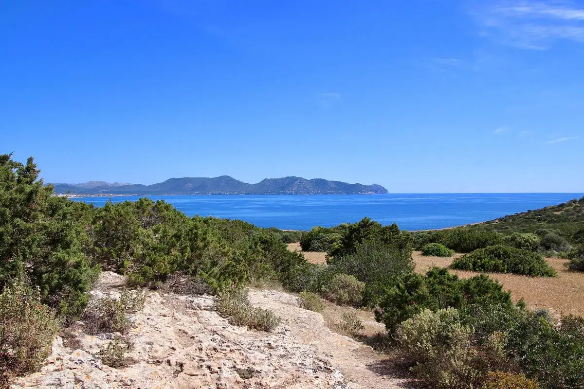Vacker utsikt &ouml;ver Cala Millor beach med turkost vatten och gr&ouml;na kullar.