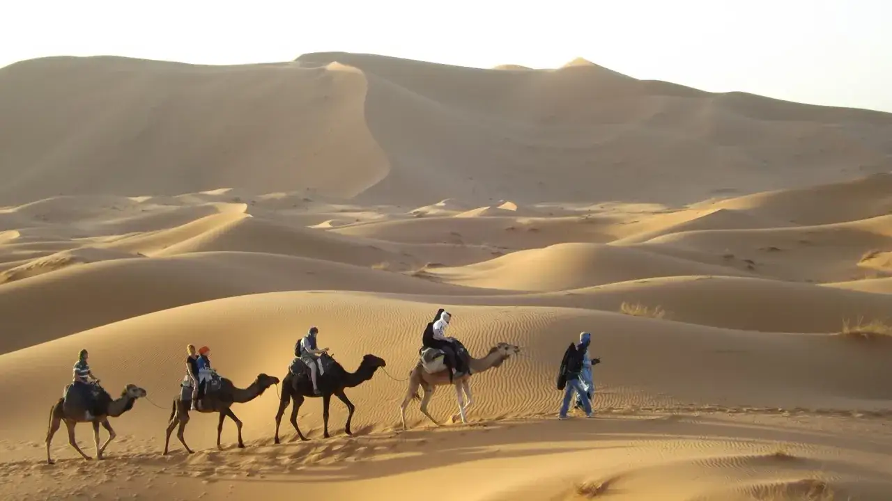 Karawane von Kamelen mit Reitern durchquert die Sahara. Ein Berber Hirtennomade f&uuml;hrt die Gruppe.