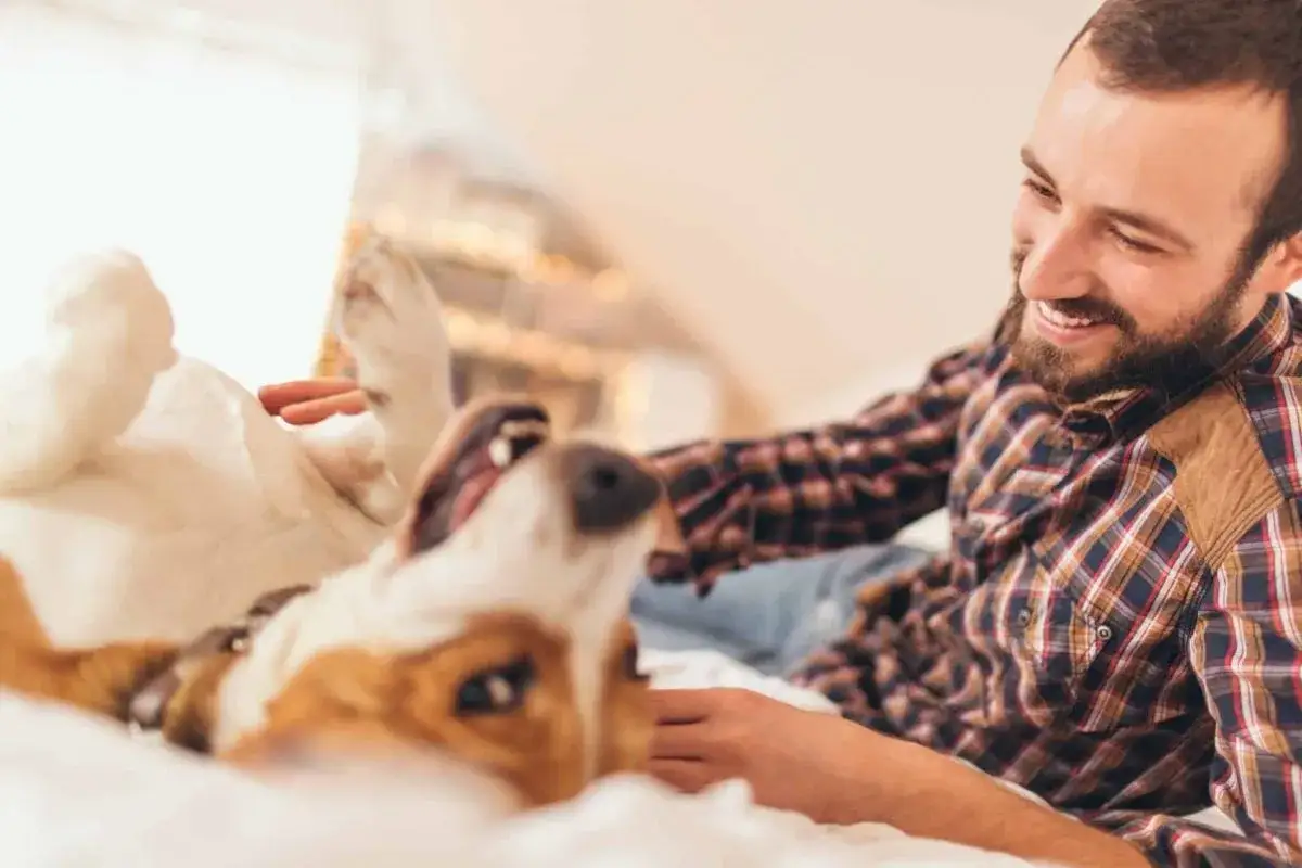 Hombre sonriente acaricia a su perro, que se revuelca feliz. &iexcl;Parece que los perros tienen cosquillas y disfrutan mucho!