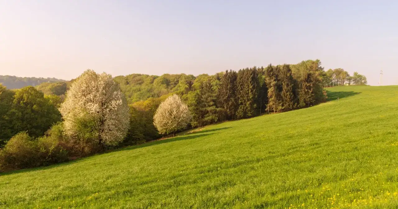 Bl&uuml;hende B&auml;ume und gr&uuml;ne H&uuml;gel am kleinen Schweiz Velbert Rundweg. Ein idyllischer Ausblick im Fr&uuml;hling.