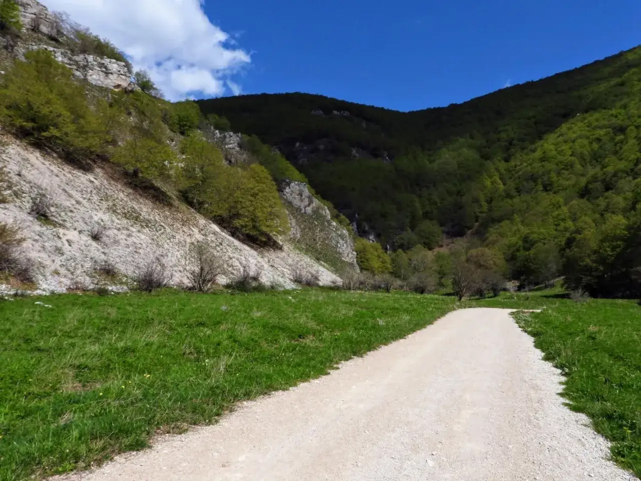 Sentieri di Roccaraso immersi nel verde, con un sentiero sterrato che si snoda tra prati rigogliosi e montagne boscose sotto un cielo azzurro.