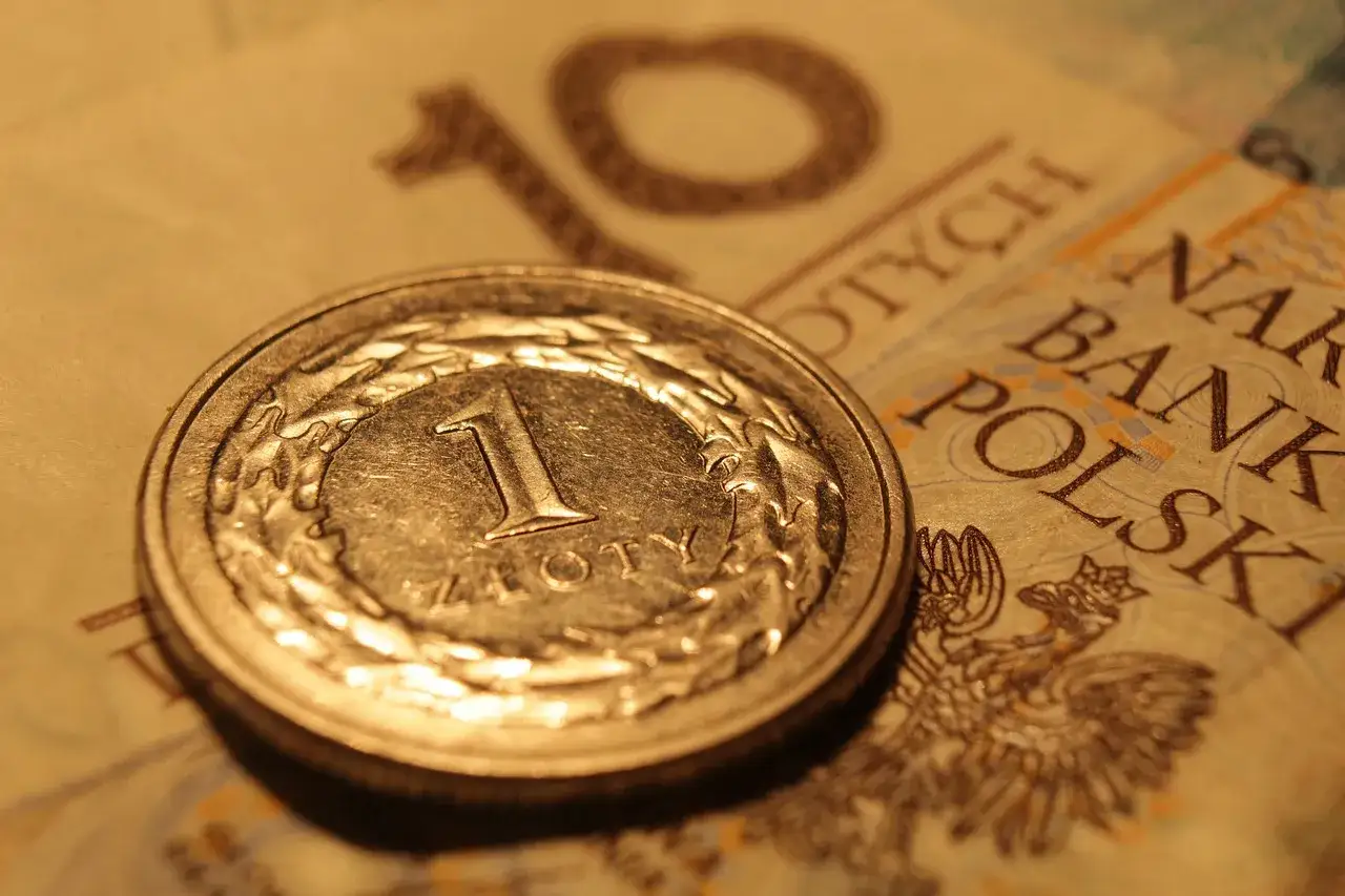 Moneta 1 złoty na banknocie 10 zł. Zastanawiasz się, czy Klarna sprawdza BIK?