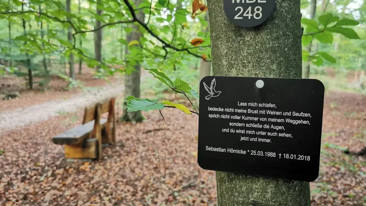 FriedWald cmentarz leśny w Niemczech