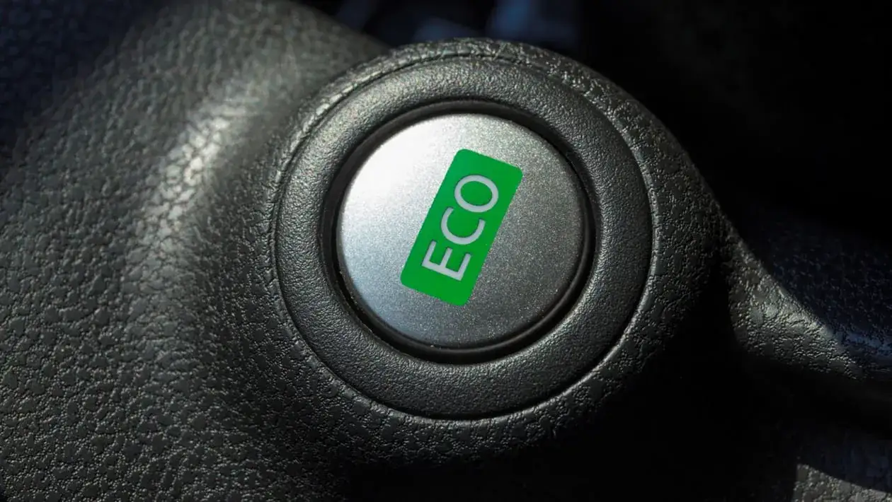 Eco-driving w busie