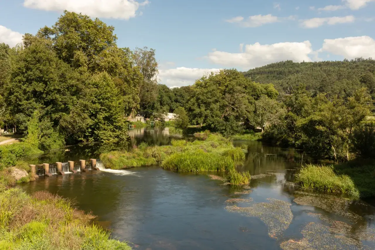 Río tranquilo con vegetación exuberante y una pequeña presa. Un lugar idílico que ver en Caldas de Reis para disfrutar de la naturaleza.