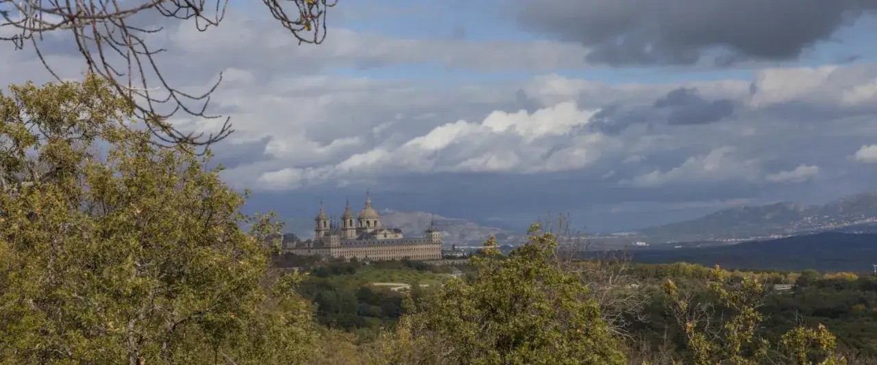 Vistas del bosque de la Herrería con el Monasterio de El Escorial al fondo, bajo un cielo nublado.