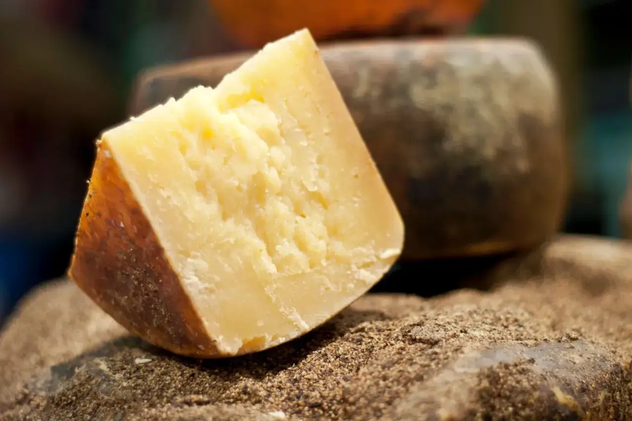 Un pezzo di formaggio giallo, forse un casu marzu, su un letto di terra scura e granulosa.
