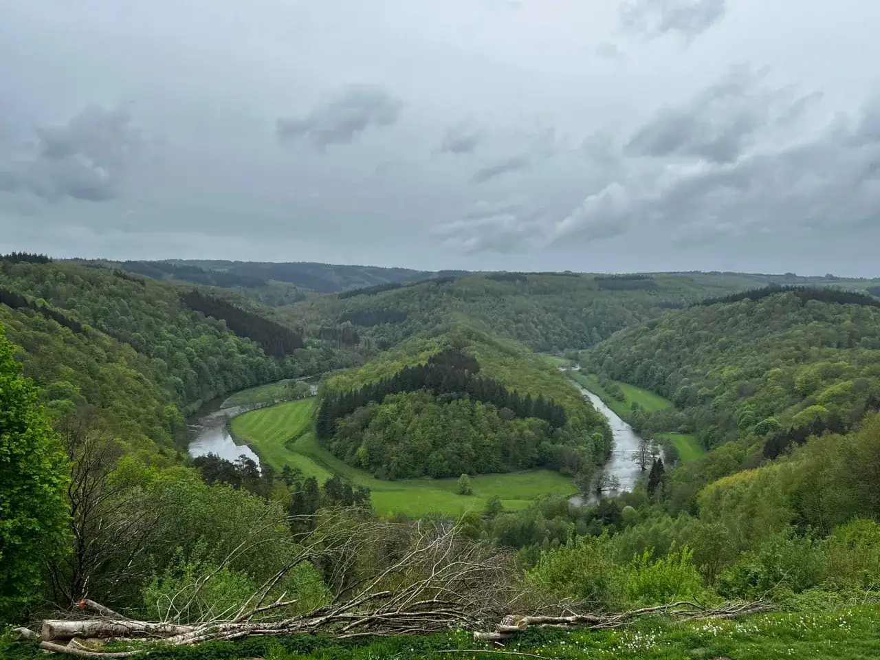 Meandrująca rzeka w zielonych dolinach Ardenów, pod pochmurnym niebem.