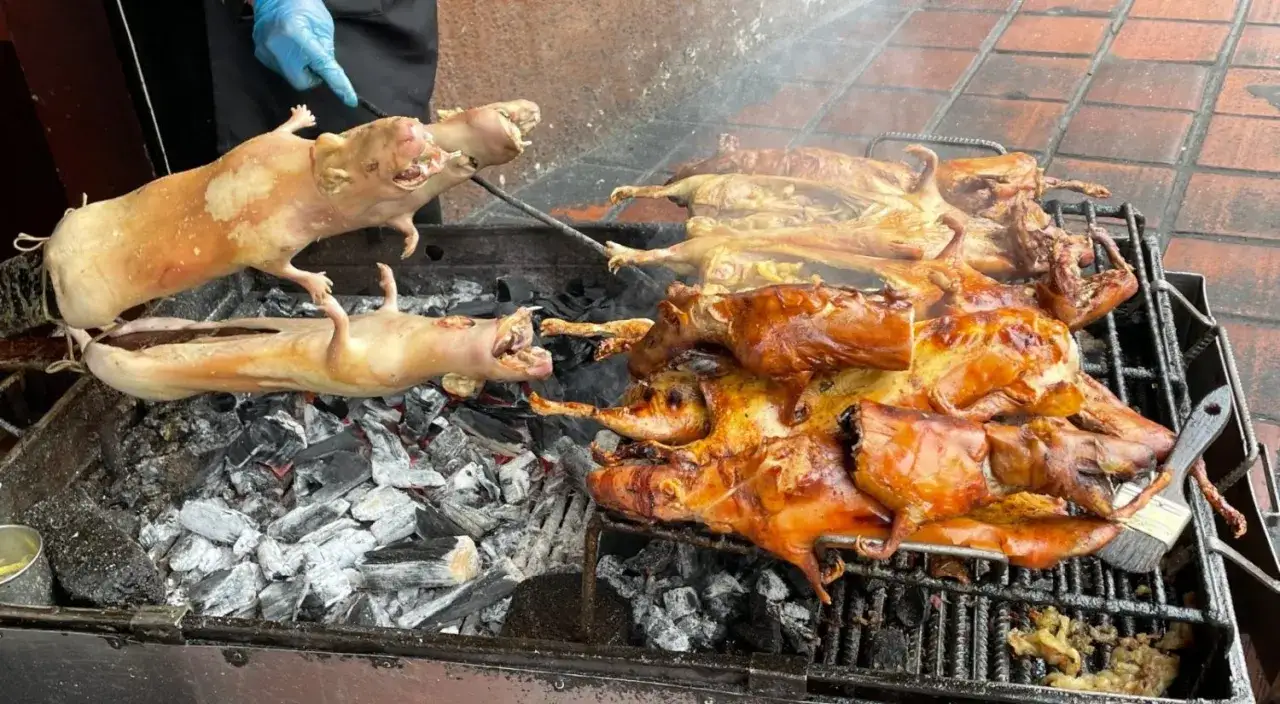 Gdzie jedzą świnki morskie? Na grillu, obok żaru, pieką się całe zwierzęta.