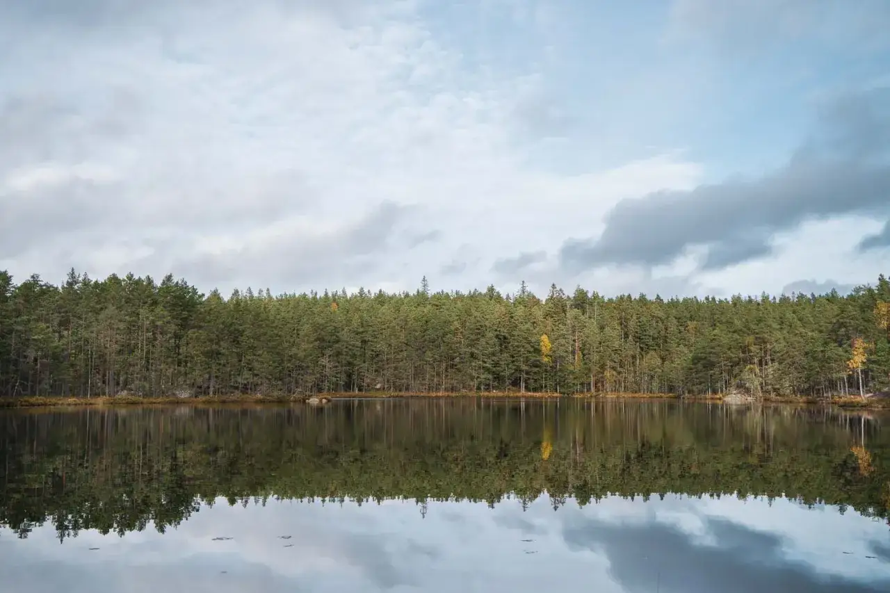 Spegelblank sjö reflekterar en tät barrskog vid Tivedens nationalpark. Molnen på himlen speglas också i vattnet.