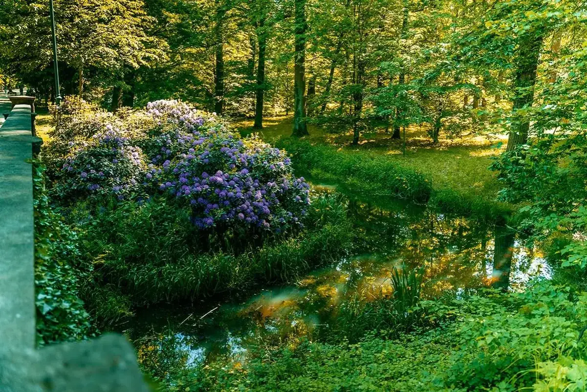 Malowniczy park z kwitnącym rododendronem i strumieniem. Wspaniałe moszna atrakcje dla miłośników natury.