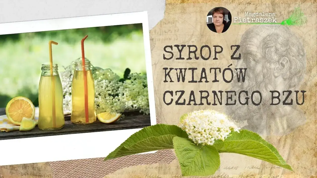 Zdjęcie Letnia ochłoda z syropu z kwiatu bzu? Oto przepis prosto od babci