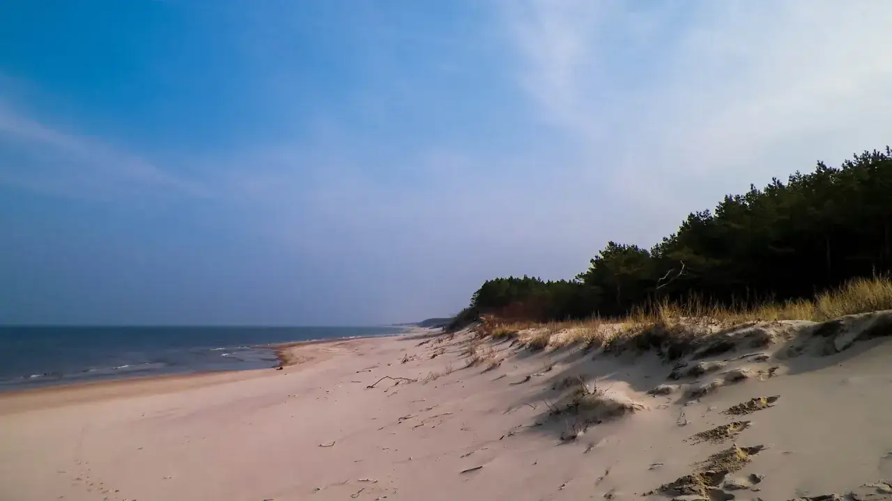 Piękna, piaszczysta plaża z lasem sosnowym w tle. Idealne fajne miejsce na weekend z dzieckiem, by pobiegać i poszukać bursztynów.