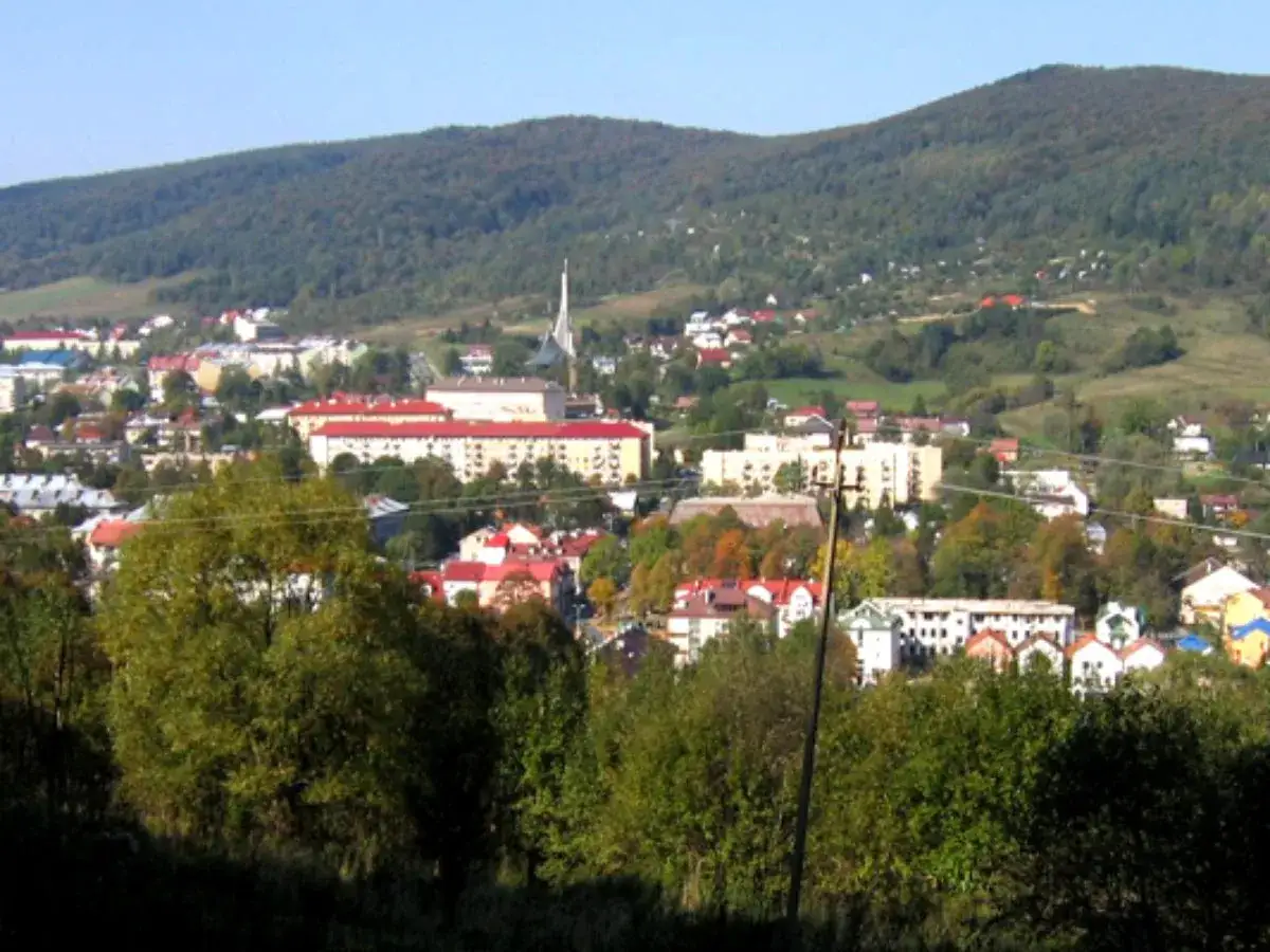 Widok na Ustrzyki Dolne zalesione wzgórza w tle, zabudowa miejska z czerwonymi dachami i nowoczesnymi budynkami.