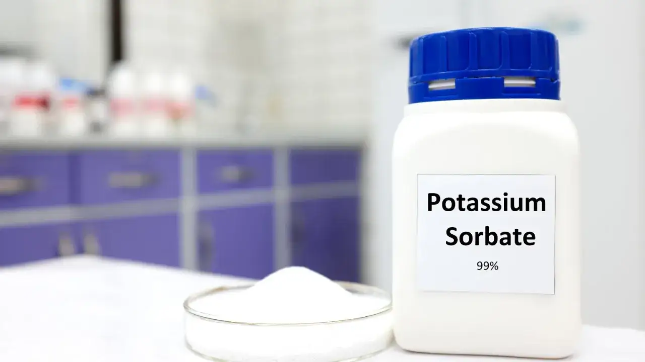 Biały proszek, prawdopodobnie sorbinian potasu, w szalce Petriego i butelce laboratoryjnej.