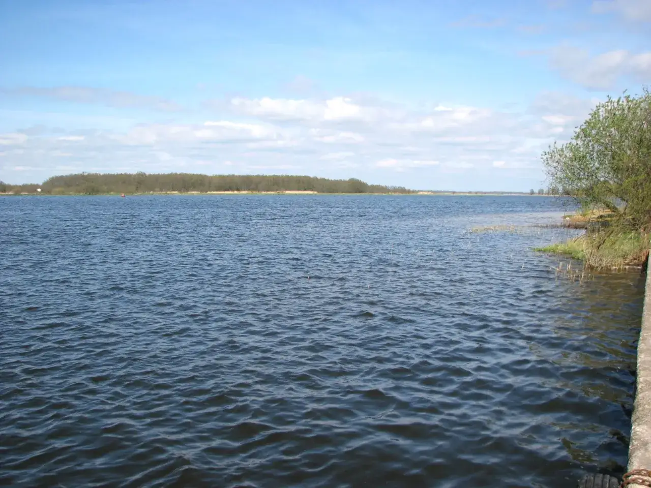 Weite Wasserfl&auml;che mit bewaldeter K&uuml;ste im Hintergrund, ideal zum Angeln in Litauen.