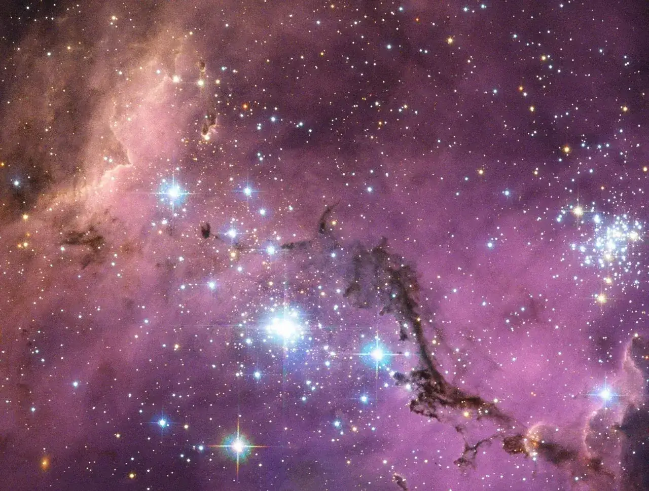 Ett f&auml;lt av stj&auml;rnor och gas i det stora magellanska molnet, med rosa och lila nebulosor och m&ouml;rka dammstrimmor.