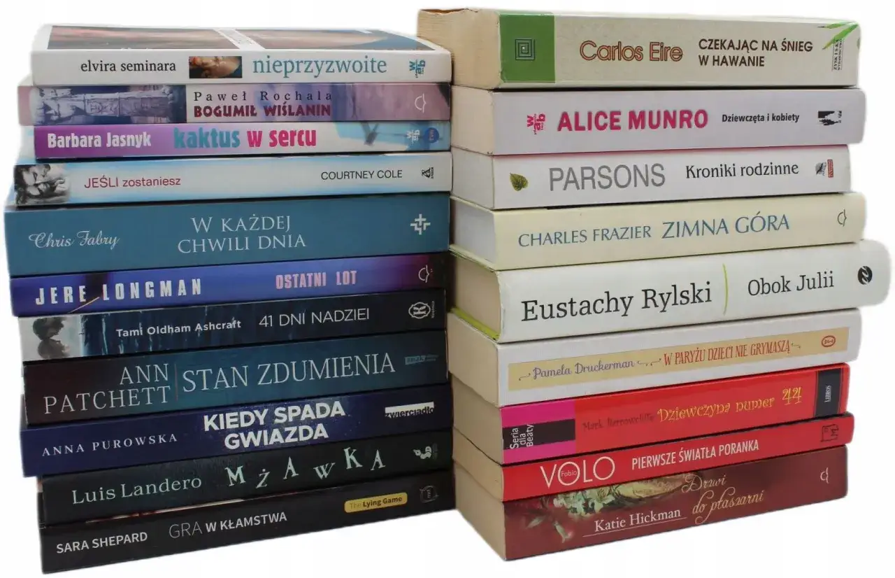 Stos książek, w tym beletrystyka co to: 