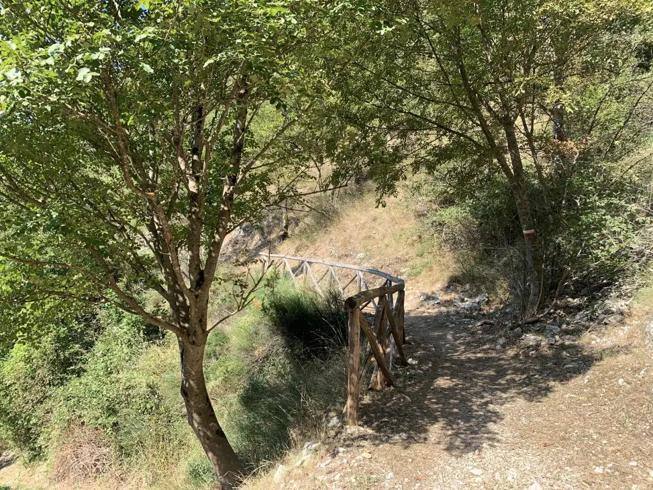 Sentiero in una valle scappuccia, con un parapetto in legno e alberi ombrosi.