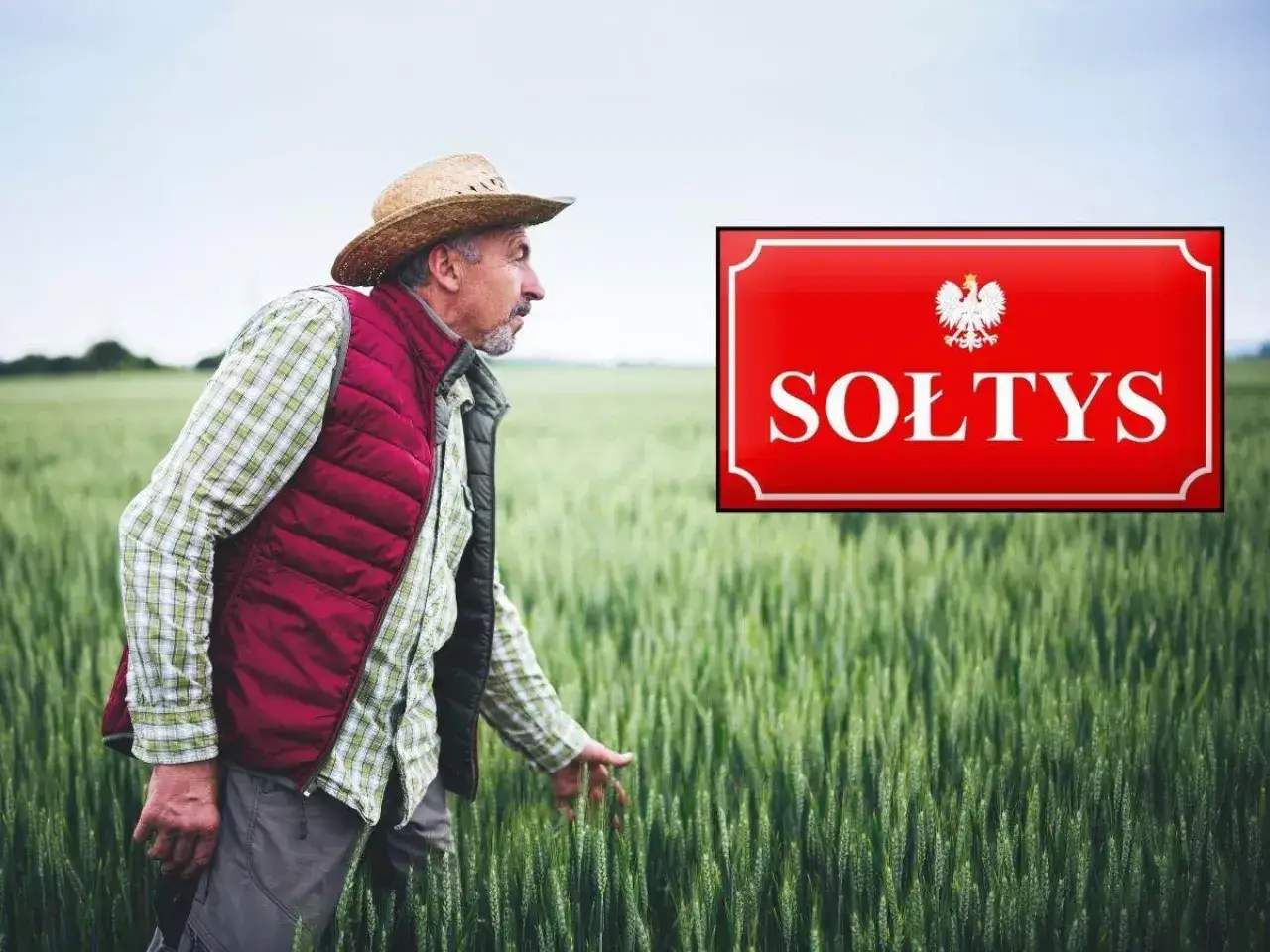 Rolnik w polu zastanawia się, ile zarabia sołtys. Obok tabliczka z napisem