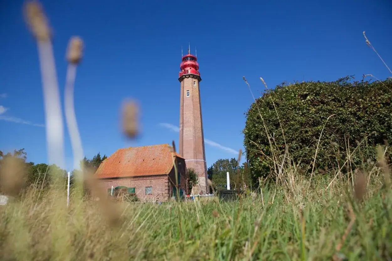Leuchtturm auf Fehmarn, ein toller Ort für Fehmarn Geheimtipps. Ein rotes Dach und ein hoher Turm ragen aus dem Grün.