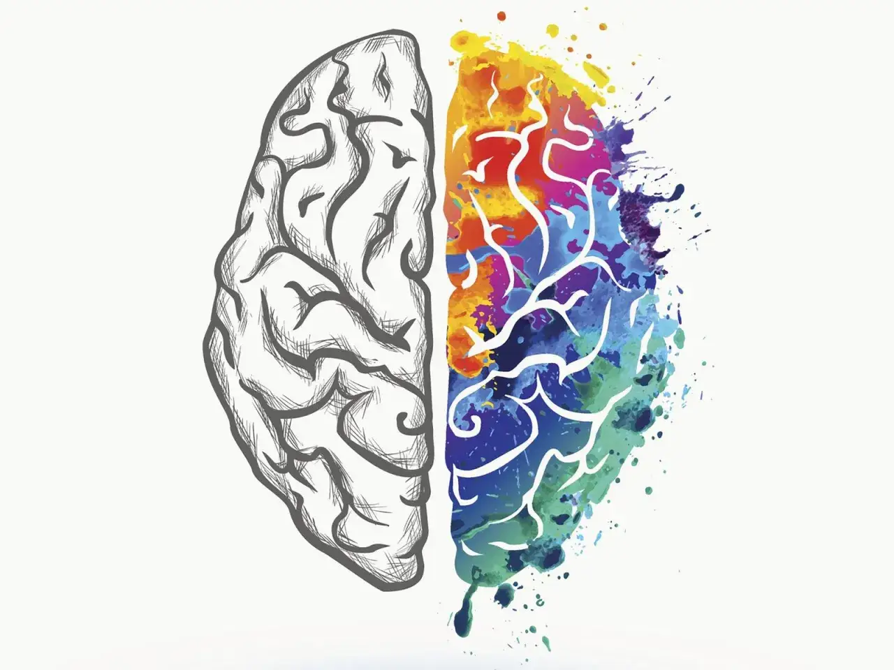 Cerebro dividido: mitad bocetada, mitad explosión de colores vibrantes. Una ventana de tolerancia entre la lógica y la creatividad.