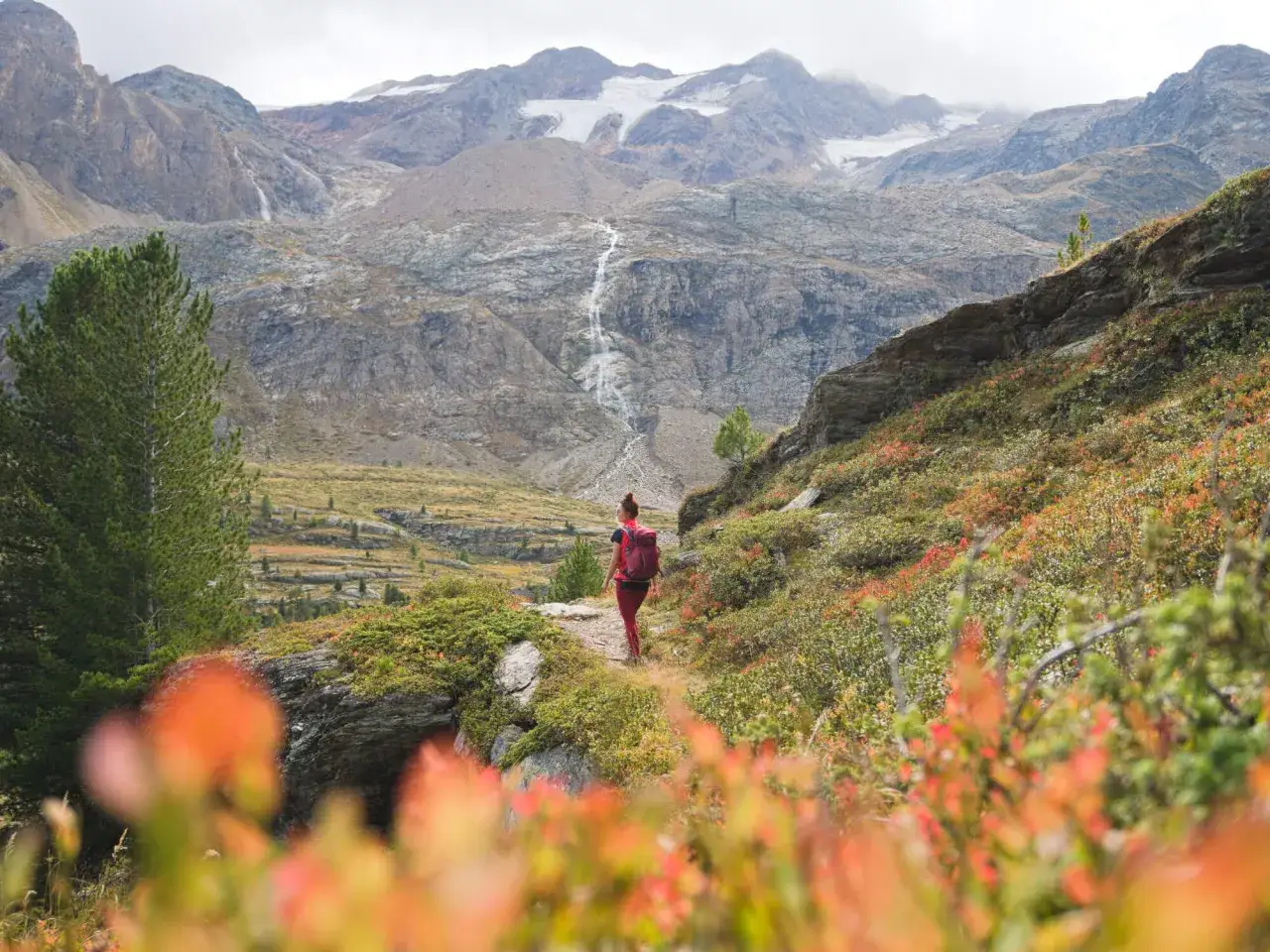 Wanderin in den Alpen im Oktober, mit bunten B&uuml;schen und schneebedeckten Gipfeln im Hintergrund.