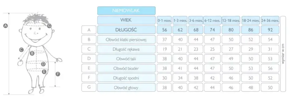 Tabela rozmiarów ubranek dla dzieci 18-24 miesiące