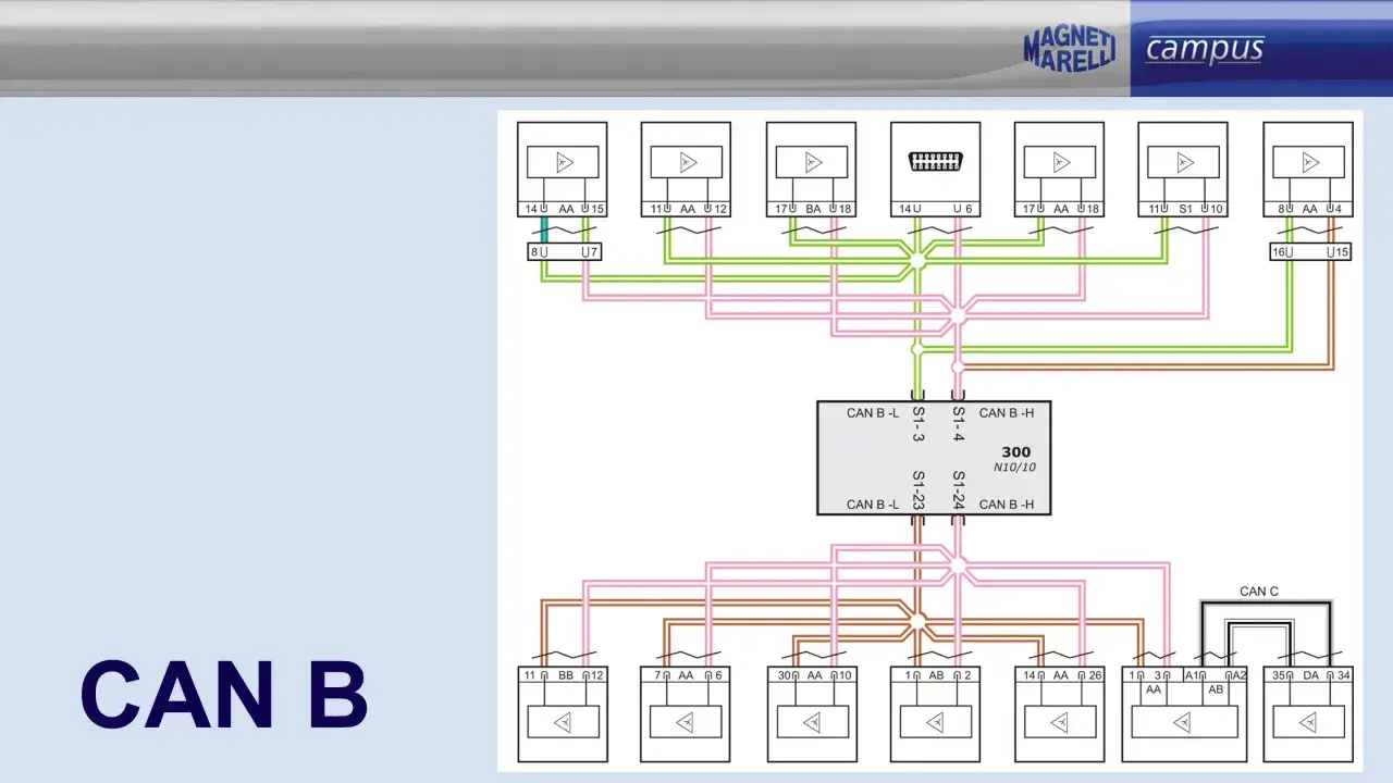 Schema elettrico che illustra la **linea can bus** con vari componenti collegati.