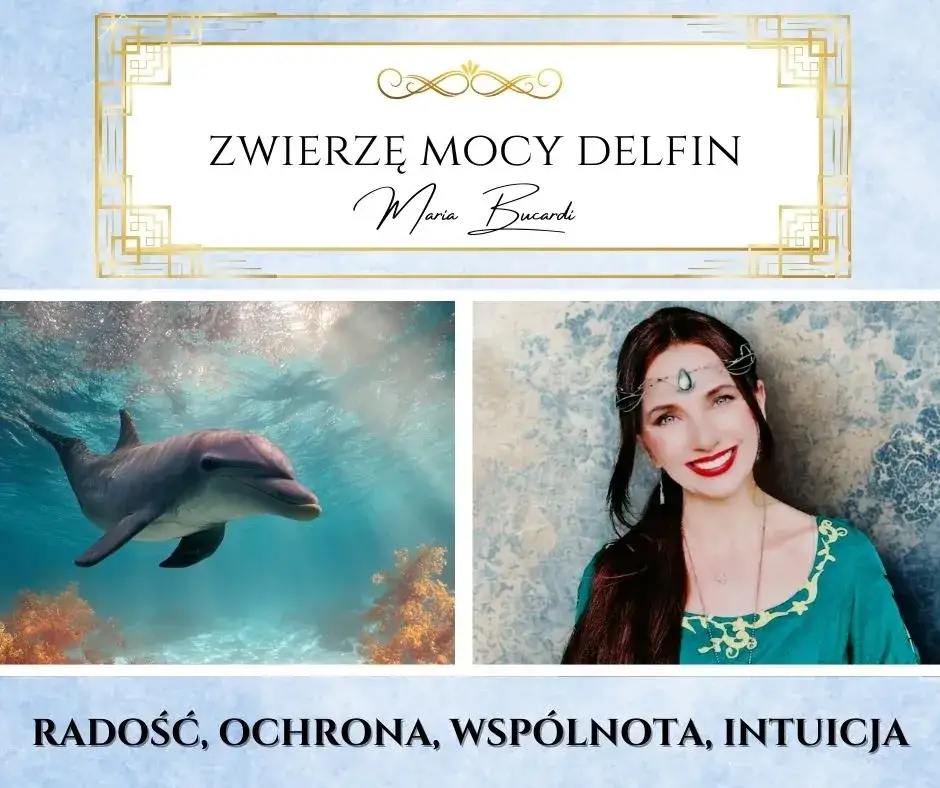 delfin symbolika