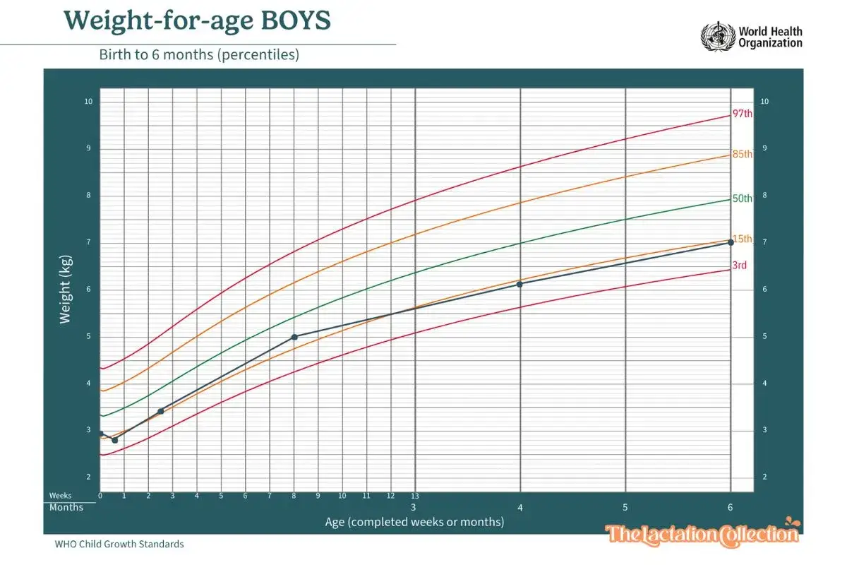 Gr&aacute;fico de la OMS muestra cu&aacute;nto engorda un beb&eacute; al mes, con curvas de percentiles de peso para ni&ntilde;os de 0 a 6 meses.