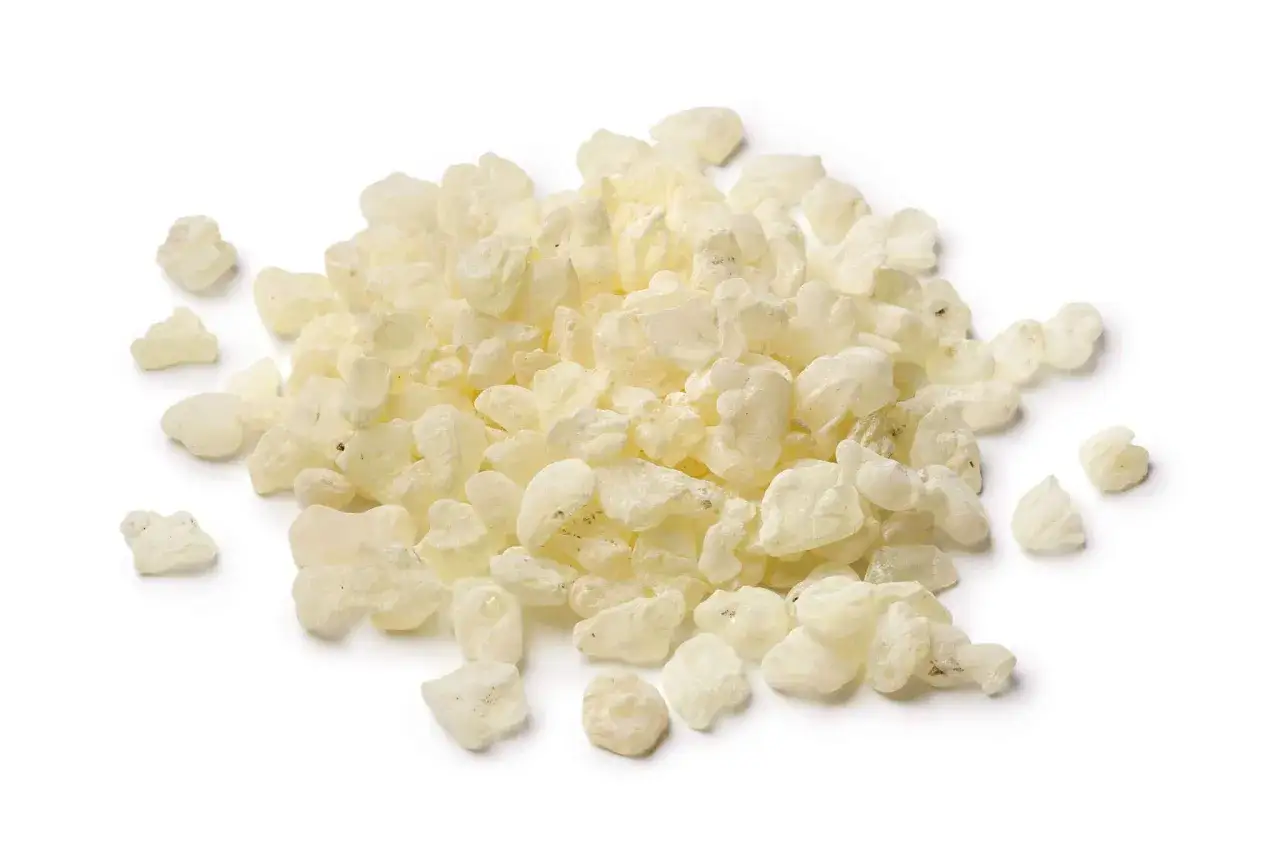 Kruszona mastika na co? Te jasne, nieregularne grudki żywicy mogą być używane do aromatyzowania potraw, gum do żucia lub w medycynie.