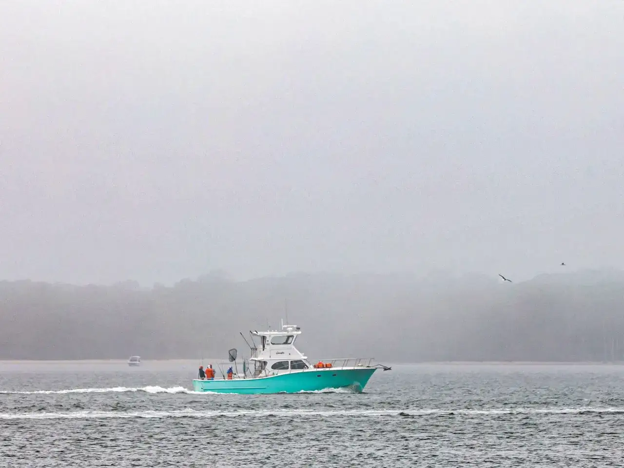 Bateau turquoise naviguant dans le brouillard, avec des pêcheurs à bord. Un autre bateau est visible au loin. Le **radar acronyme** aide à la navigation.