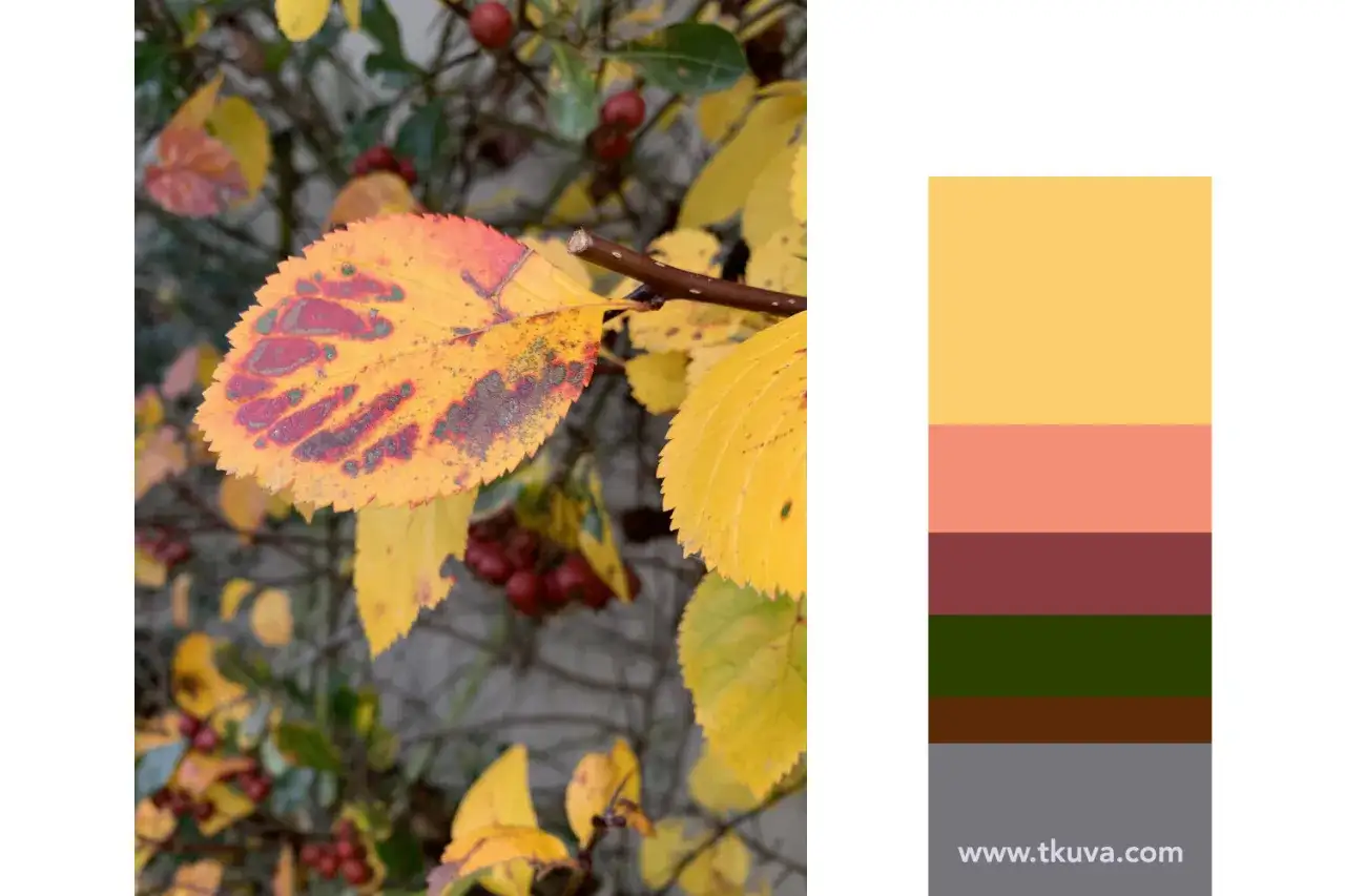 Feuilles d'automne aux teintes orangées et jaunes, évoquant la couleur mois de novembre. Palette de couleurs automnales.