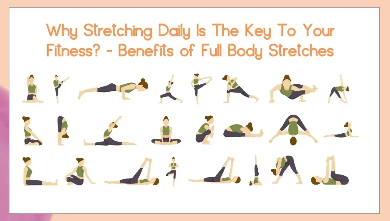 Illustrations de personnes pratiquant diverses poses de yoga pour un étirement général.