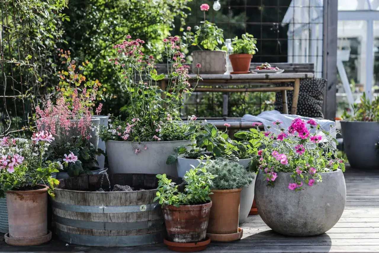 En h&auml;rlig samling blommor i krukor, inklusive en frodig verbena i kruka, skapar en inbjudande uteplats.