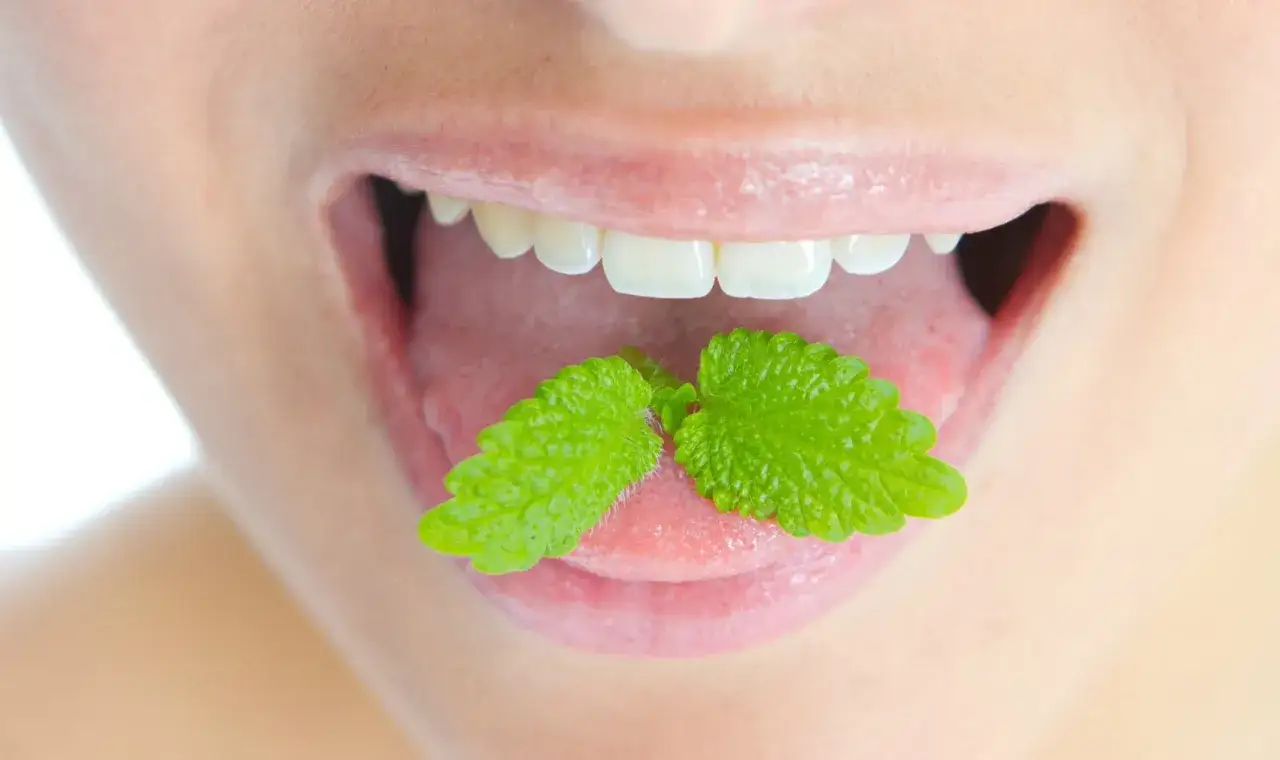 Bocca aperta con due foglie di menta sulla lingua, per combattere l'alito pesante e rinfrescare il sorriso.