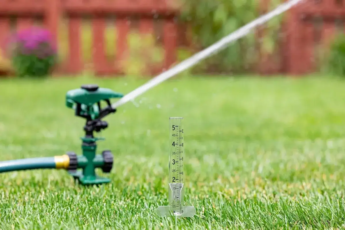 A sprinkler waters lush green grass, with a rain gauge nearby to measure the water.