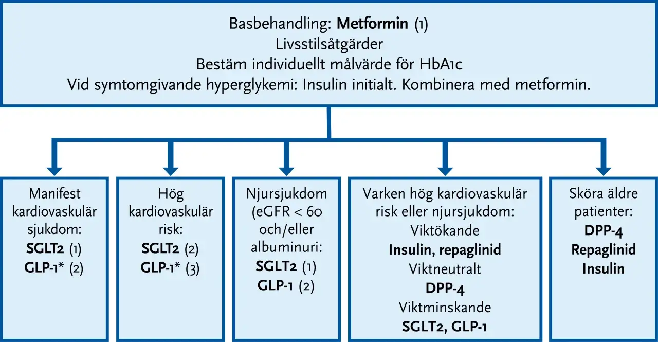 Flödesschema för diabetesbehandling. Basbehandling Metformin. Vid symtomgivande hyperglykemi, kombinera med insulin. Överväg att sluta med metformin vid vissa tillstånd.
