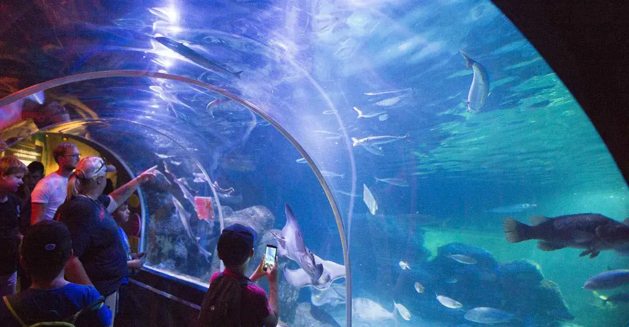 Rodzina zwiedza podwodny tunel w Aquadom Oceanarium Berlin, podziwiając ryby i płaszczki.