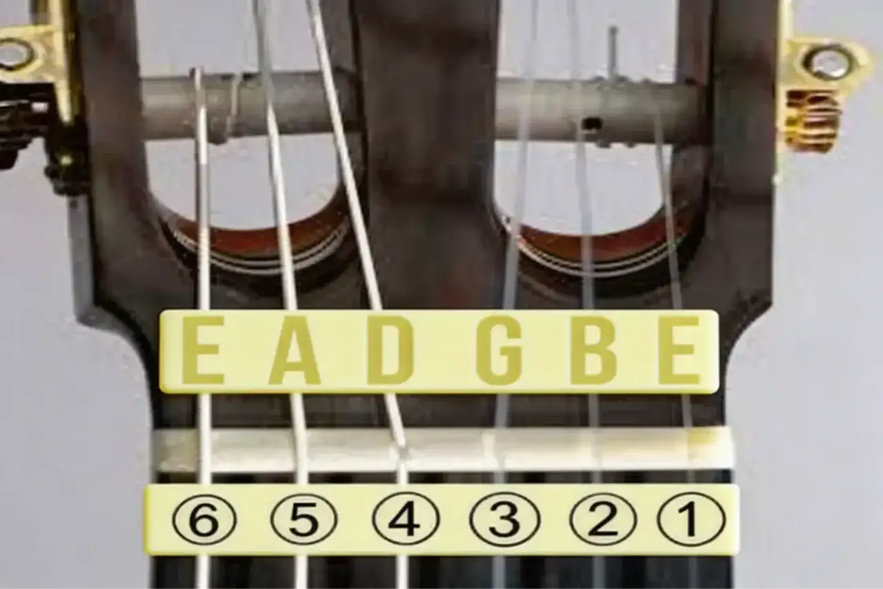 Gitarrenhals mit Saitenbeschriftung EADGBE und Nummerierung 6-1. Geh du alter Esel, hole Fische, damit wir die Saiten stimmen können!