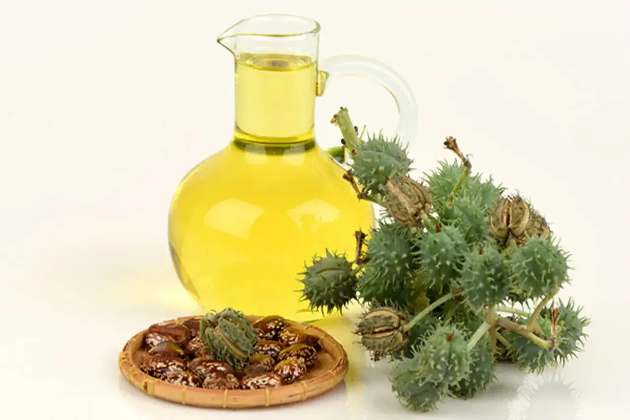 Caraffa di olio di ricino dorato accanto a un ramo di ricino con capsule spinose e semi su un piattino.